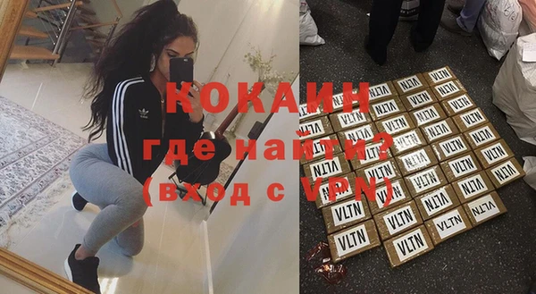 ALPHA PVP Каменка