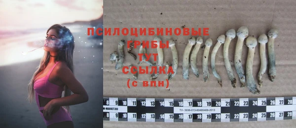 кокаин колумбия Каменногорск